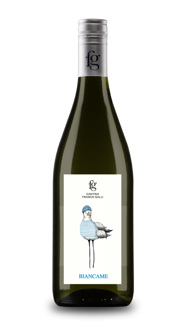 Rimini DOP Biancame - 2024