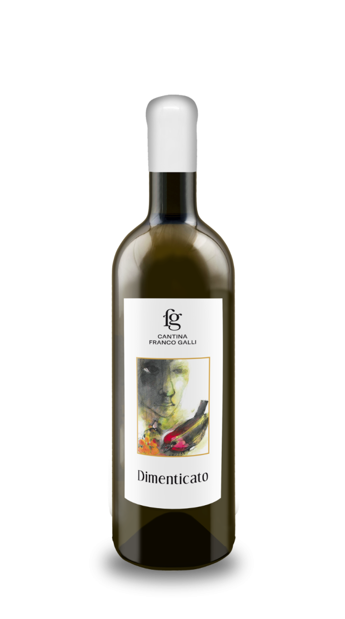 Dimenticato Vino Bianco - 2021