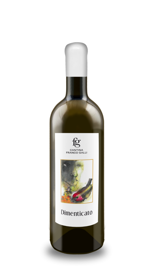 Dimenticato Vino Bianco - 2021